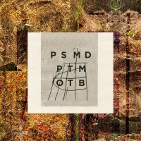 Purchase Marc Ducret - Palm Sweat: Marc Ducret Plays The Music Of Tim Berne