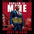 Buy Godfather Of Harlem - Just In Case (CDS) Mp3 Download