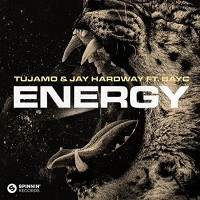 Purchase Tujamo & Jay Hardway - Energy (Feat. Bay-C) (Extended Mix) (CDS)