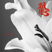Purchase Echo Ladies - Lilies