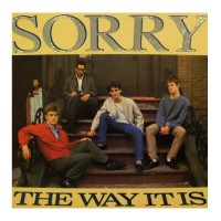 Purchase Sorry - The Way It Is (Vinyl)