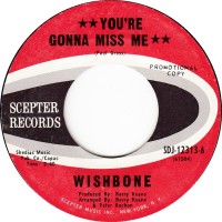 Purchase Wishbone - You're Gonna Miss Me (VLS)