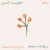 Buy Ligeti Quartet & Anna Meredith - Nuc Mp3 Download