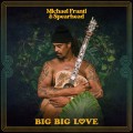 Buy Michael Franti & Spearhead - Big Big Love Mp3 Download