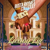 Purchase Busta Rhymes - Luxury Life (Feat. Coi Leray) (CDS)