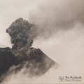 Buy The Flashbulb - Piety Of Ashes Mp3 Download