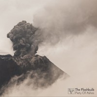 Purchase The Flashbulb - Piety Of Ashes