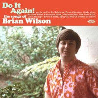 Purchase VA - Do It Again! The Songs Of Brian Wilson