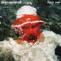 Purchase Pale Jay - Bewilderment