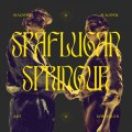 Buy Slagsmál - Spáflugan Springur Mp3 Download