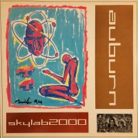 Purchase Skylab2000 - Auburn Mixes