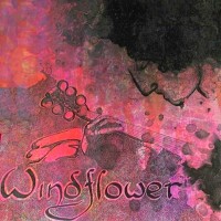Purchase Windflower - Dreams (Vinyl)
