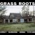 Buy Darius Jones Quartet - Grass Roots Mp3 Download