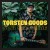Buy Torsten Goods - Soul Searching Mp3 Download