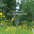 Buy Eguana & Qeight - Forest Song Mp3 Download