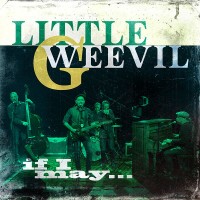 Purchase Little G Weevil - If I May...