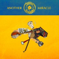 Purchase Steve 'n' Seagulls - Another Miracle