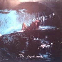Purchase Tete Espindola - Pássaros Na Garganta (Vinyl)