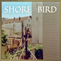 Purchase Slow Motion Cowboys - Shore Bird