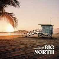 Purchase Anton Fermhede - Big North