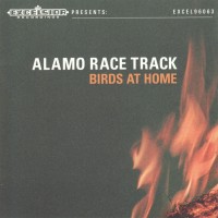 Purchase Alamo Race Track - Birds At Home