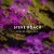 Buy Steve Roach - Spaces & Places Mp3 Download
