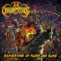 Purchase The Convalescence - Harvesters Of Flesh And Bone