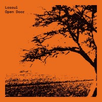 Purchase Losoul - Open Door (Expanded Edition)
