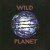 Buy Wild Planet - Transmitter Mp3 Download