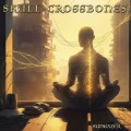 Buy Skull & Crossbones - Sungazer Mp3 Download