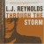 Buy Lj Reynolds - Through The Storm Mp3 Download