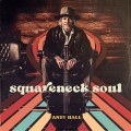 Buy Andy Hall - Squareneck Soul Mp3 Download