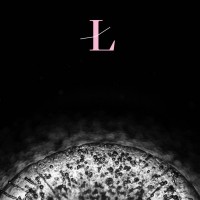 Purchase Loscil - Lux Refractions
