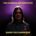 Buy The James Clark Institute - Under The Lampshade Mp3 Download