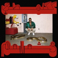 Purchase Shabazz Palaces - Robed In Rareness