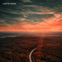 Purchase Nick Beggs - Music For Drones