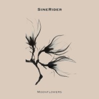 Purchase Sinerider - Moonflowers
