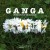 Buy Ganga - Wondrous Machine Mp3 Download