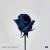 Buy B.I - Love Or Loved Pt. 2 (EP) Mp3 Download