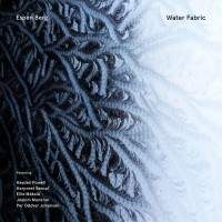 Purchase Espen Berg - Water Fabric (With Per Oddvar Johansen, Hayden Powell, Harpreet Bansal, Ellie Mäkelä & Joakim Munkner)