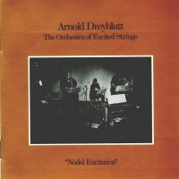 Purchase Arnold Dreyblatt - Nodal Excitation (Vinyl)