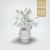Buy Noctiferia - Reforma Mp3 Download