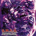 Buy S.M.E.S. - Goregasmic Tales From Technophobia Mp3 Download