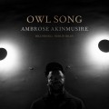 Buy Ambrose Akinmusire, Bill Frisell & Herlin Riley - Owl Song Mp3 Download