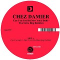 Buy Chez Damier - Can You Feel It (EP) Mp3 Download