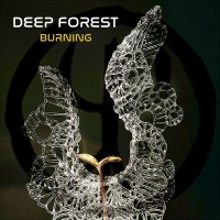 Purchase Deep Forest - Burning