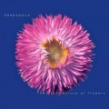 Buy Deepspace - The Architecture Of Flowers Mp3 Download