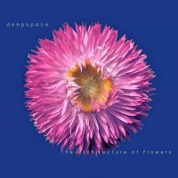 Purchase Deepspace - The Architecture Of Flowers