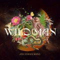 Buy Joe Stamm Band - Wild Man Mp3 Download