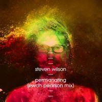 Purchase Steven Wilson - Permanating (Ewan Pearson Mix) (CDS)